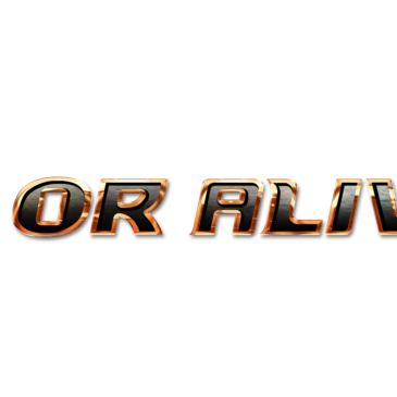 DEAD OR ALIVE 6 Hits Evo 2018
